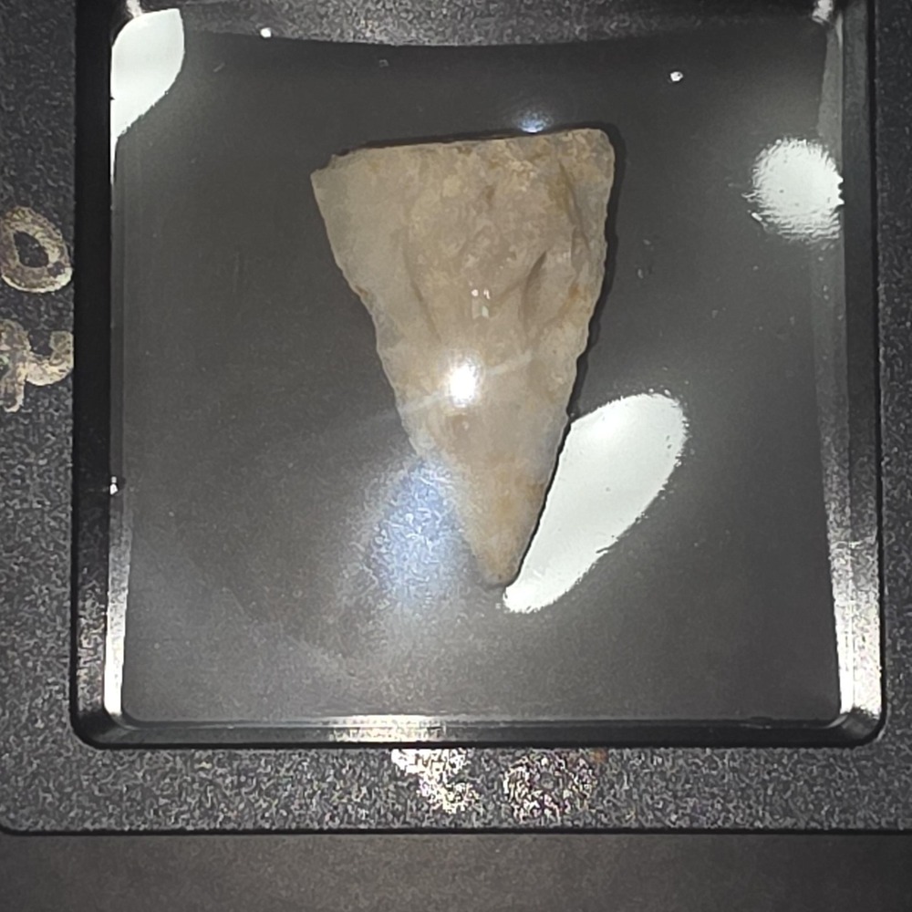 Hand Knapped Stone Arrowhead – Mexico – Unauthenticated Display Artifact - Picture 4 of 4